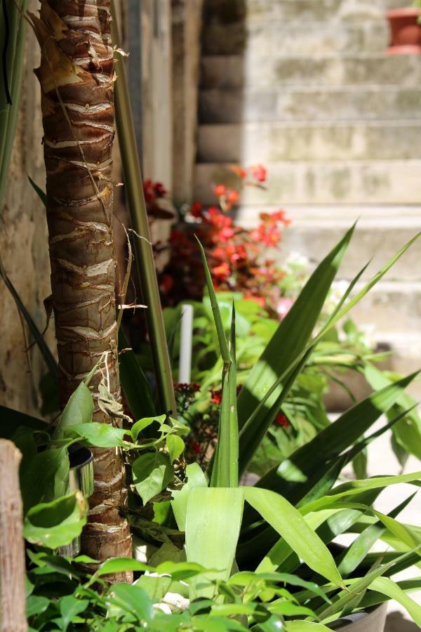 Street Garden Apartment Хвар Екстериор снимка